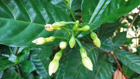 亚马逊prime会员1月福利 九款游戏免费送